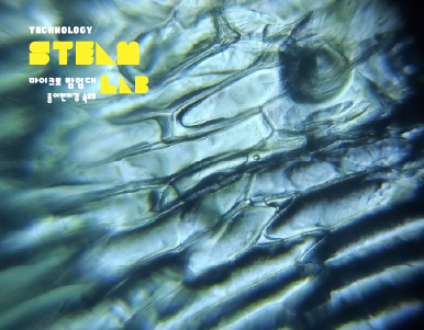 [교육프로그램]마이크로 탐험대